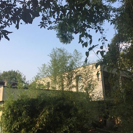 Suite Am Stift ! Wunstorf Dış mekan fotoğraf
