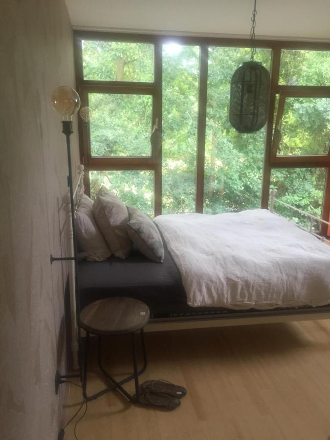 Suite Am Stift ! Wunstorf Dış mekan fotoğraf
